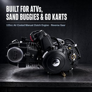 <span class=keywords><strong>Motor</strong></span> <span class=keywords><strong>de</strong></span> 125cc para ATV/Go Kart, <span class=keywords><strong>con</strong></span> Embrague Manual, 1 Avance y 1 Retroceso, Cilindro <span class=keywords><strong>de</strong></span> Aluminio, Venta al Por Mayor - Product Image 2