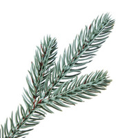 Karangan Bunga Natal Biru Debu (24 inci) 60CM Ramah Lingkungan untuk Penggunaan Dalam Ruangan, Sentuhan Alami PE & PVC Campuran Buah Pinus, Dilengkapi Lampu, Dekorasi Mewah