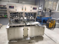 Machine de remplissage Bag-in-Box à double tête, en acier inoxydable 304, pour Ketchup, liquide d'œuf et diverses sauces, utilisation simple