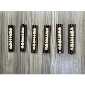 Matériel de laboratoire <span class=keywords><strong>dentaire</strong></span> : Kit complet de dents en résine acrylique composite synthétique, deux couches, manuel inclus, <span class=keywords><strong>pour</strong></span> <span class=keywords><strong>prothèse</strong></span> <span class=keywords><strong>dentaire</strong></span> - Product Image 6