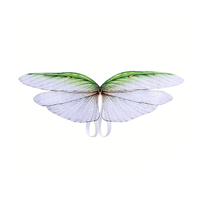 Ailes de libellule vertes pour enfants, costume de fée, cadeau de fête, OEM/ODM, couleur personnalisée, polyester, unisexe, échantillons en 7-14 jours