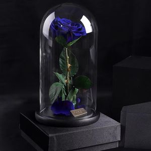 Rosas Eternas Preservadas 2025 Years Every Love 7-8, 42 Colores, Rosas Reales Estabilizadas para Siempre en Cúpula de Cristal, Ideales para Acción de Gracias - Product Image 6