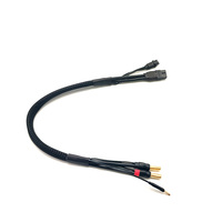 Câble de charge équilibré 2S XT60 12AWG en silicone noir 400MM