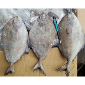 Poisson congelé, poisson pomfret noir en vente, pomfret noir et blanc, prix bas, exportation de poisson - Product Image 3