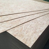 Panneaux OSB de qualité ENF, sans formaldéhyde, imperméables, résistants à l'humidité, non finis, 18 mm, pour usage intérieur, sous-couche Guangdong