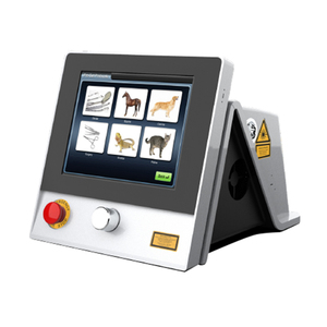 Peralatan Terapi Laser Dokter Hewan Kelas 4, Terapi Penghilang Nyeri Luka, Penyembuhan Laser - Product Image 3