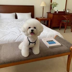 Grosir pakaian anjing musim panas penjualan laris rompi anjing pakaian hewan peliharaan mewah OEM/ODM layanan rompi tanpa lengan halus untuk anjing kecil - Product Image 6