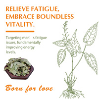 Gélules d'Epimedium - pour la récupération musculaire et l'endurance, certifiées Halal, approvisionnement en gros