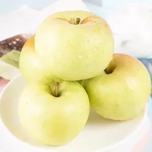 Vendita calda Export Quality mele fresche New Crop Natural Gala Apple