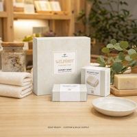 Boîte cadeau en papier semence gaufré pour savon et huiles essentielles avec graines de fleurs sauvages à l'intérieur, faible MOQ, carton pliable personnalisé