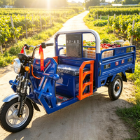 Kart électrique tout-terrain 750W 48V pour adultes avec batterie 20Ah, moteur BLDC, transmission par arbre, buggy des dunes, utilisation en extérieur, 70 km/h, charge 200 kg