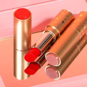 Leverancier Ontwerper Low Moq Lippenstift Maken Uw Eigen Kit Case Schattige Veganistische Mini Doorzichtige Satijn Vloeibare Lipgloss