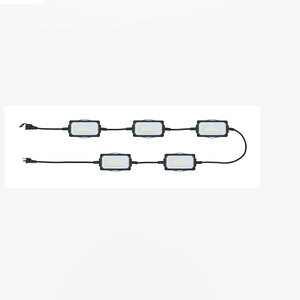 Guirlande lumineuse classique <span class=keywords><strong>de</strong></span> décoration extérieure industrielle LED étanche Linsheng - Product Image 5
