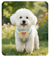 Harnais pour chien en maille anti-poils avec décorations amovibles en peluche monstre, mignon et tendance, ensemble gilet et laisse pour petits chiens en nylon
