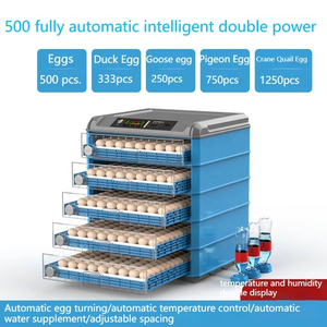 ציוד חקלאי לעופות שליו ביצים אוטומטיות מלאות אינקובטורים ביצת ציפור כחולה למכירה - Product Image 4