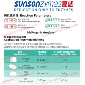 Enzima de amilase maltogênica de cozimento para manutenção de pão fresco, Amilase maltogênica para estender a vida útil dos produtos assados - Product Image 2
