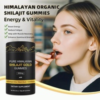 Suplemen Gummy Shilajit Himalaya Murni OEM dengan Ashwagandha, Suplemen Energi Alami untuk Pemulihan Otot