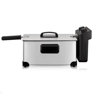 RAF New Arrival 3L Deep Fryer Electric Deep Fat Fryer With Stainless Steel Housing