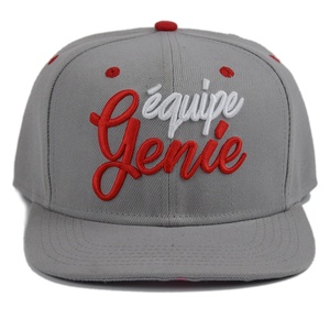 Casquettes Snapback personnalisées, impression sérigraphique, broderie 3D, <span class=keywords><strong>gris</strong></span>, Bordadora De Gorras Snapback Cap - Product Image 1