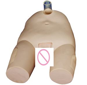 Model latihan irigasi kandung kemih pria/wanita, keterampilan kateterisasi dan Simulator operasi tusukan - Product Image 1