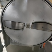 Automatische multifunctionele groentesnijmachine voor aardappel, wortel, ui, kool en voedselverwerking