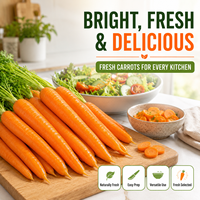 Carottes fraîches de marque JILIU riches en vitamines, récolte 2026, certifiées GAP du Shandong, vente en gros directe d'usine, tailles S/M/L, sacs de 10kg/20kg