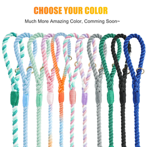 Adjustable Nylon Pet Dog Sport Lead Leash Set with Waist Bag Hand-Free Running Elastic Traction Rope <b>Polyester</b> <b>Lanyard</b> - Product Image 6
