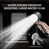 Pommeau de Douche Écologique en Acier Inoxydable de Haute Qualité à Double Jet pour Cheveux et Peau Sains, Sortie d'Eau Unique