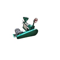 Nouvelle Machine Commerciale Automatique d'Extraction de Sésame et de Noix de Coco en Acier Inoxydable Luoyu Modèle 120, Grande Capacité, Rendement Élevé 7T/8T