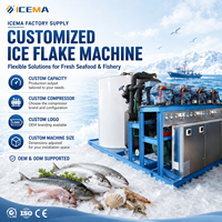 ICEMA Factory – Machine de fabrication de flocons de glace, 20 tonnes par jour, pour la pêche aux fruits de mer frais