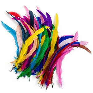 Plumas Naturales <span class=keywords><strong>de</strong></span> <span class=keywords><strong>Gallo</strong></span> a Granel, 10-16 pulgadas/25-40 cm, Plumas <span class=keywords><strong>de</strong></span> <span class=keywords><strong>Gallo</strong></span> Teñidas para Espectáculos <span class=keywords><strong>de</strong></span> Carnaval - Product Image 6