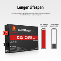 Paquete de batería 12V 100ah 200ah Byd Blade Lifepo4 Batería de litio de almacenamiento solar de energía de montaje en pared súper delgada