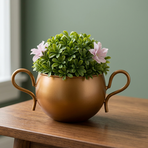 Creative Metal Flower <b>Pot</b> with Double Handles Modern Desktop Planter for Indoor <b>Succulents</b> - Product Image 6