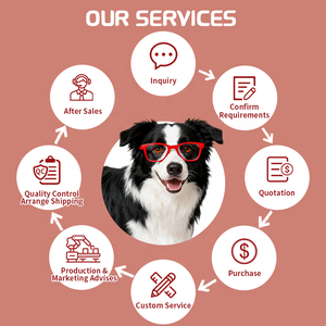 Poudre verte pour chiens et chats, complément alimentaire pour la santé, soutien de la santé urinaire et intestinale, saveur personnalisée, ingrédients pour chiens en poudre - Product Image 3