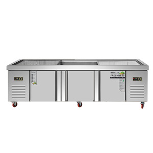 Commercial Refrigerated Display Case 24-1 Horizontal Ice Table For Food Storage With Automatic Defrost Electric Power - Product Image 1