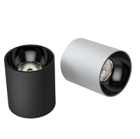 Projecteur monté en surface étanche IP65 vente en gros Spot lampe 10W 15W 20W 30W 40W 60W LED de plafond COB Downlight