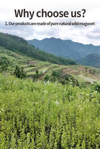 Bâton de moxibustion chaud de <span class=keywords><strong>médecine</strong></span> traditionnelle chinoise Rouleaux de moxa pur - Product Image 6