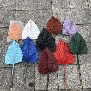 13 colori disponibili a forma di ventaglio palme secche decorazione dello sfondo del matrimonio foglie di plam essiccate