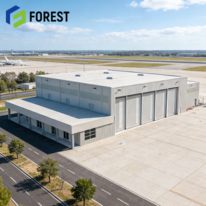 Hangar d'avion robuste et fiable en structure acier, résistant au vent, pour avions commerciaux, avec service de conception - Product Image 1