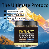 Gummies OEM Shilajit de l'Himalaya, Ashwagandha, Sea Moss et plus, saveur Blue Razz, 60 unités