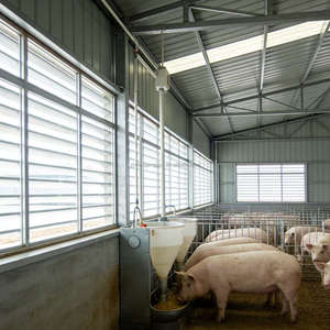 Struttura in Acciaio ZHILIAN Design Industriale Moderno Prefabbricato Magazzino per Allevamento Pollame Fattoria Suini 5 Anni - Product Image 2