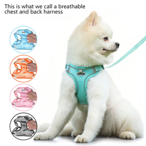 Kangdarpet Pet Chest and Back Vest Style Puppy Chest and Back Small <b>Dog</b> Teddy Bichon Outdoor Reflective <b>Dog</b> Leash - Product Image 2