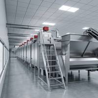 Machine à torréfier les noix en continu avec système d'alimentation automatique, équipement de torréfaction à bande en acier inoxydable pour usine alimentaire