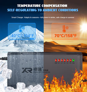 Chargeur 7 lumières pour affichage 60V 3A – Vente en gros usine, prise en charge OEM ODM pour les distributeurs de vélos et trottinettes électriques - Product Image 5