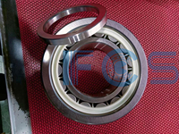 Bantalan Rol Silinder 110x215x73mm WJP110X215-P-M1 untuk Lokomotif Kereta Api