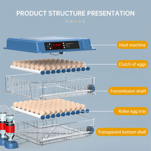 Incubateur à œufs en <span class=keywords><strong>vente</strong></span> chaude, incubateur entièrement automatique, machine à éclosion <span class=keywords><strong>de</strong></span> 98 œufs avec double alimentation - Product Image 2