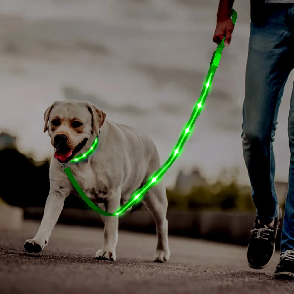 Wholesale Dog Accessories Led Illuminating Led Dog Nylon Pet Light Up Dog Leash Rechargeable Led Leash