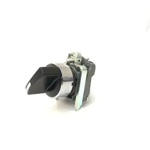 XB4-BD21 22mm 2 position rotary self-locking selector switch IP65