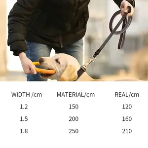 Collar de Cuero con Hebilla Personalizada de Alta Calidad para Perro, Collar de Entrenamiento con Nombre FreeId Grabado Acolchado y Suave de Plomo - Product Image 2