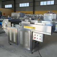 Broyeur professionnel de blocs de viande congelée 4000 kg/h, déchiqueteur de morceaux de poulet congelé, machine à floquer les blocs de bœuf congelé